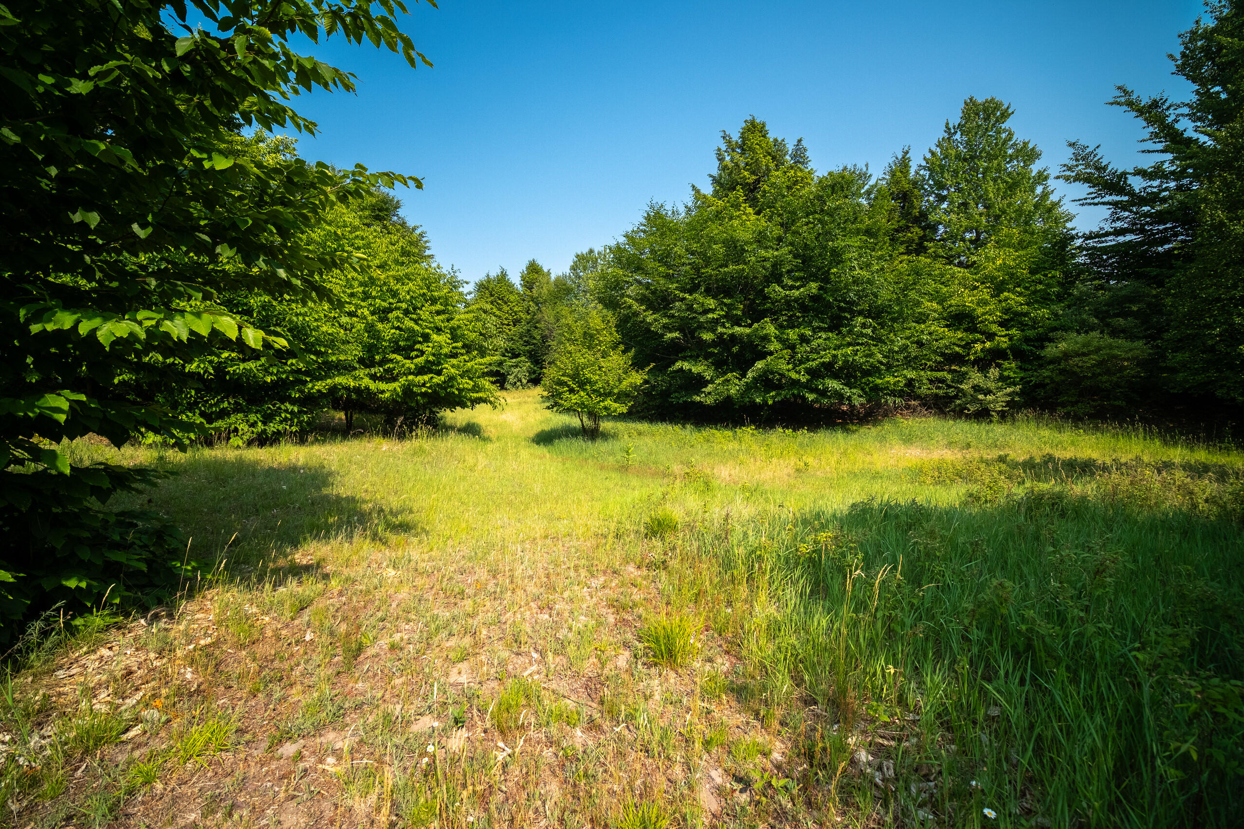 Horizon Ridge Lane, Unit 138 Onekama, MI 49675 - Photo 17 of 41 Additional Photo Lot 138