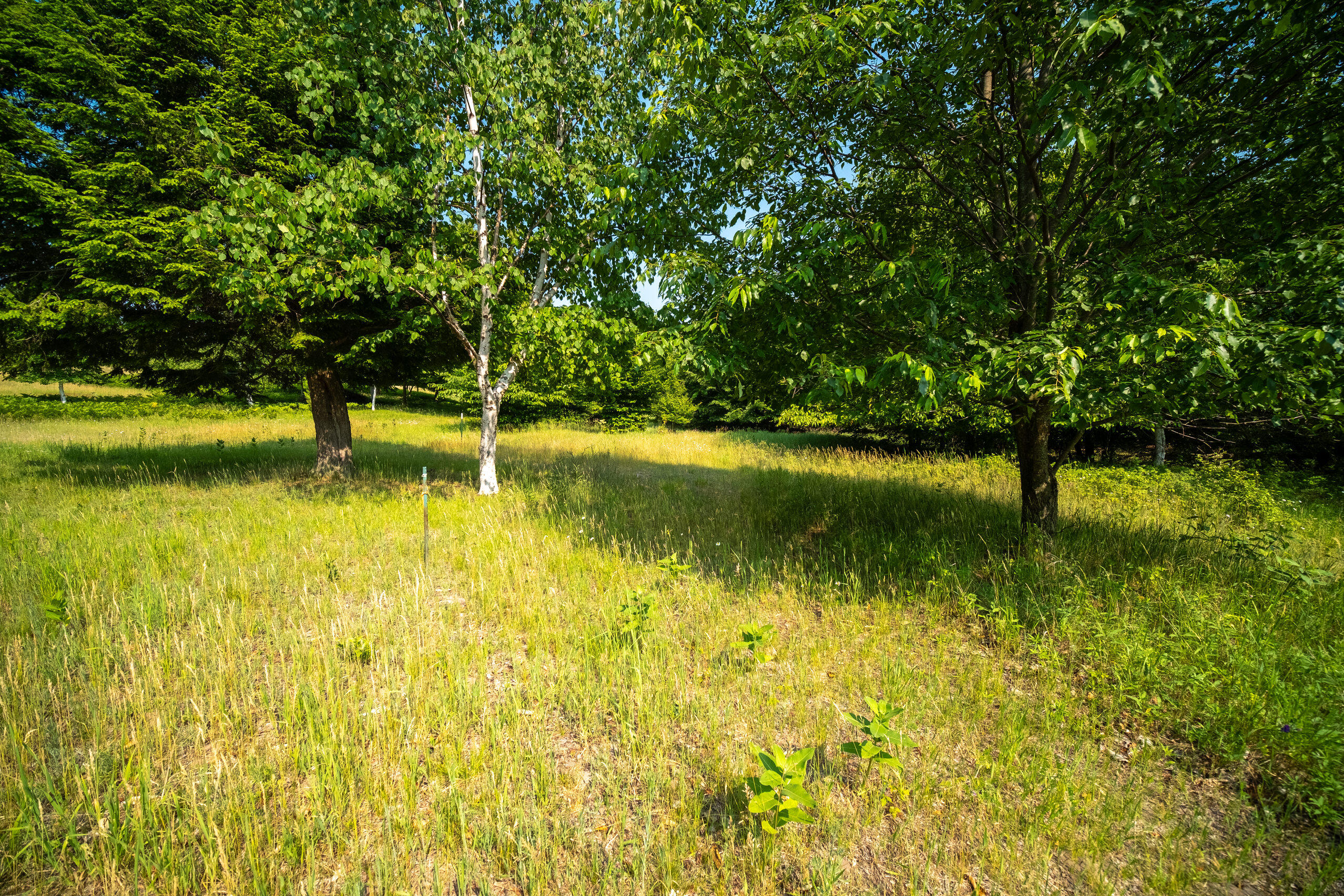 Horizon Ridge Lane, Unit 138 Onekama, MI 49675 - Photo 18 of 41 Additional Photo Lot 138