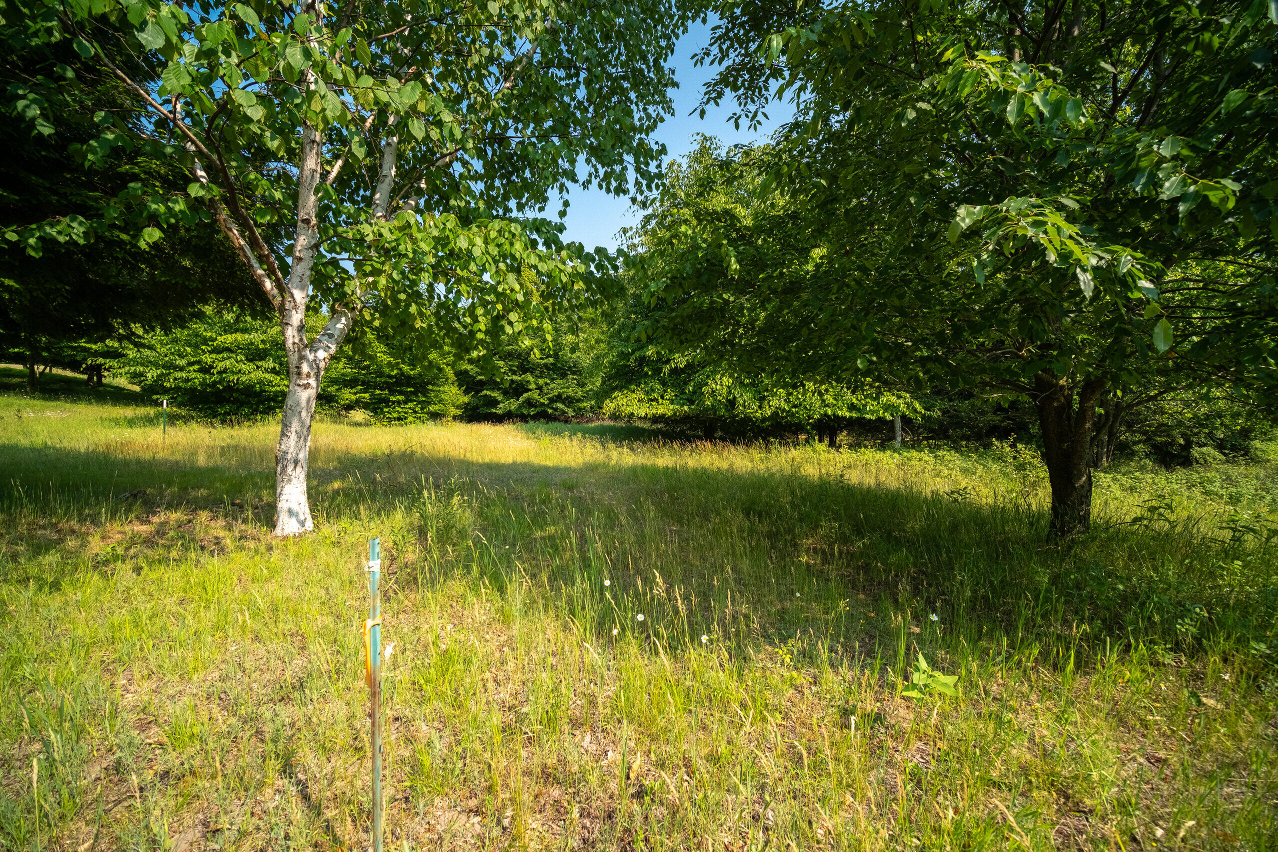 Horizon Ridge Lane, Unit 138 Onekama, MI 49675 - Photo 19 of 41 Additional Photo Lot 138