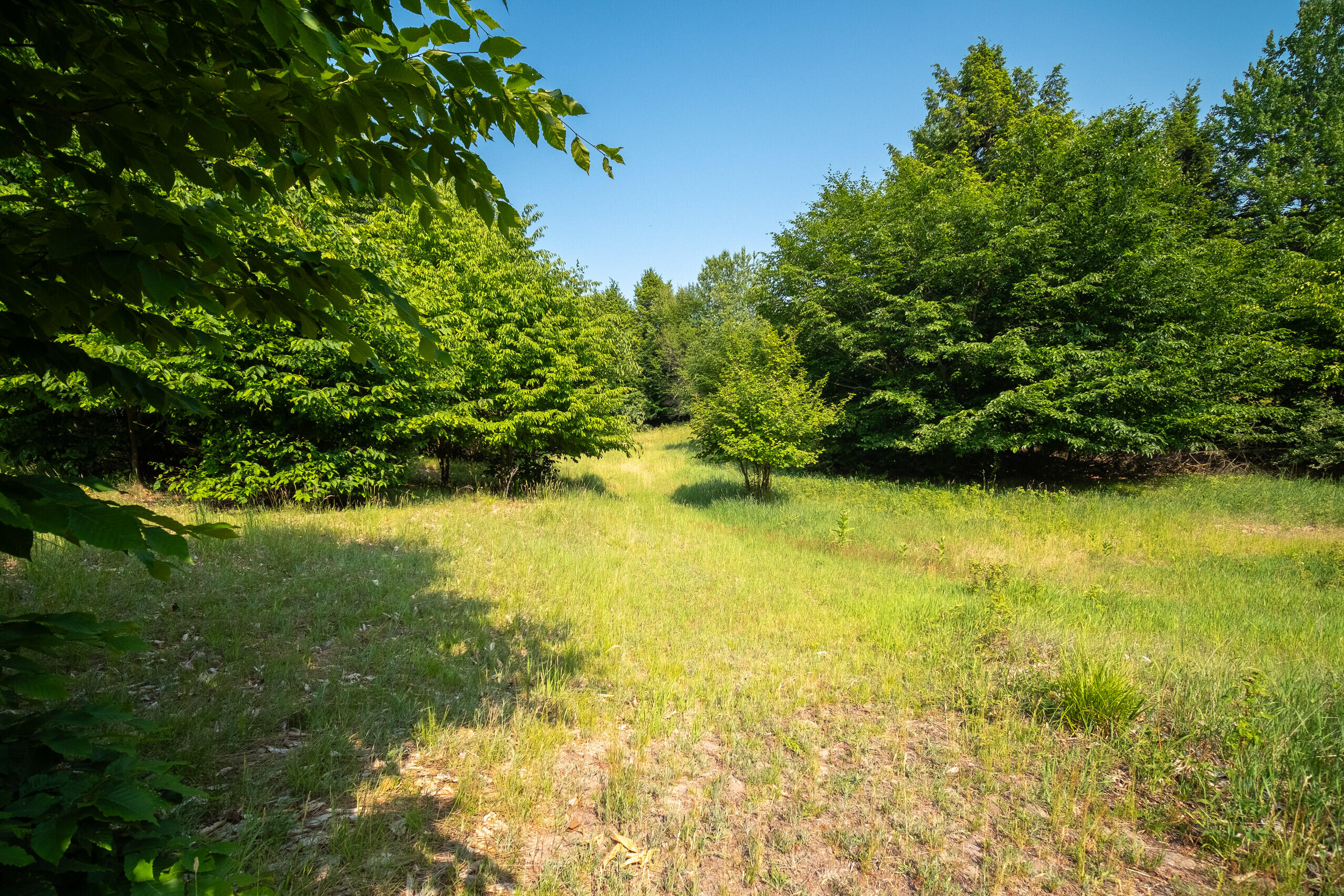 Horizon Ridge Lane, Unit 138 Onekama, MI 49675 - Photo 20 of 41 Additional Photo Lot 138