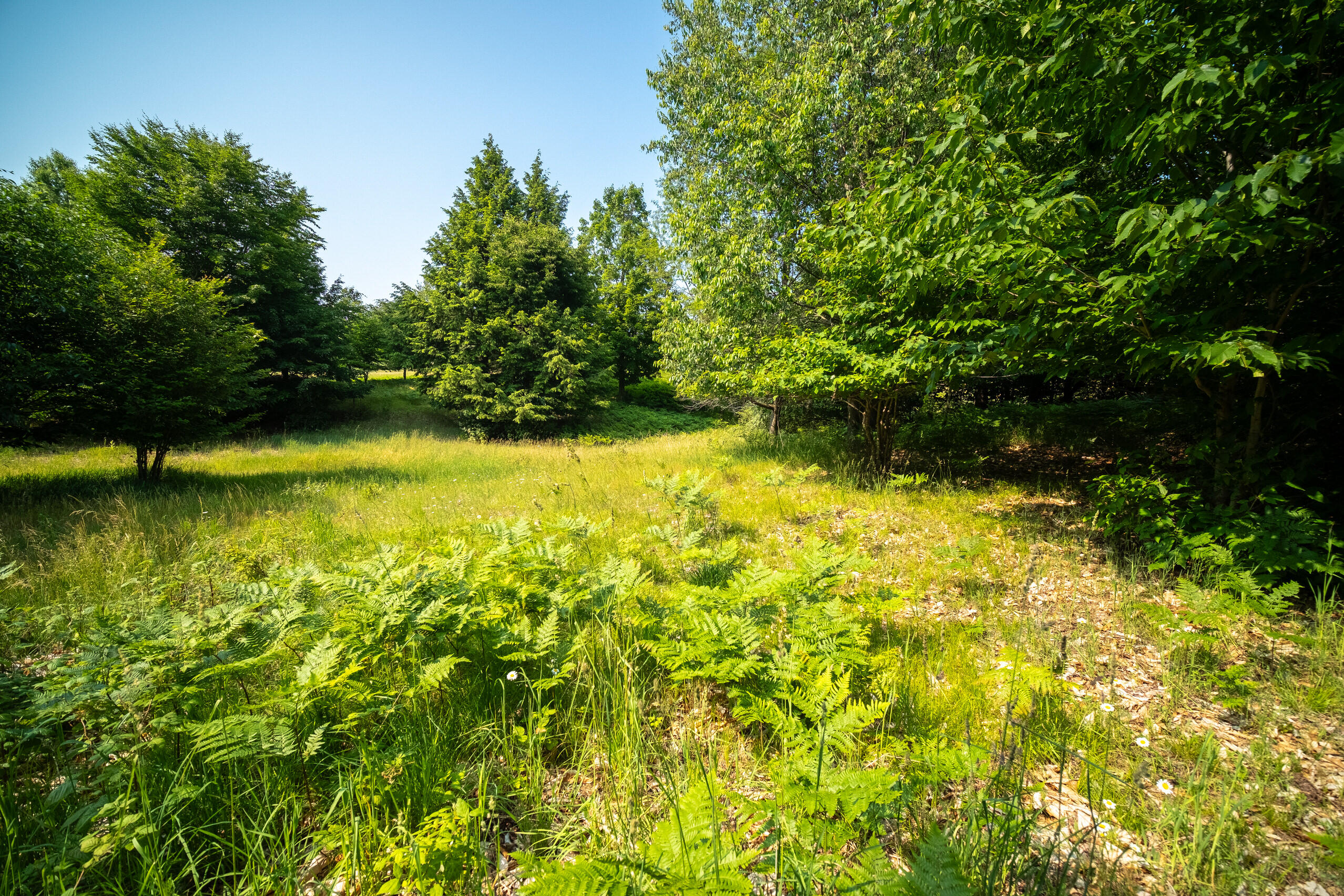 Horizon Ridge Lane, Unit 138 Onekama, MI 49675 - Photo 2 of 41 Additional Photo Lot 138