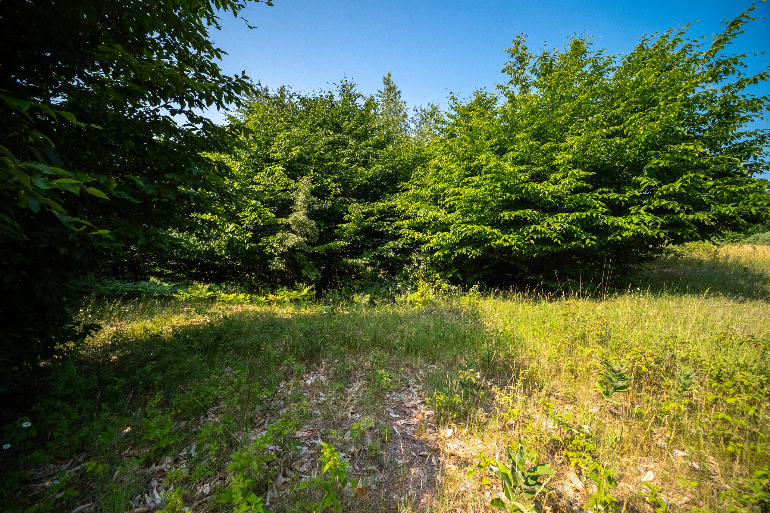 Horizon Ridge Lane, Unit 138 Onekama, MI 49675 - Photo 3 of 41 Additional Photo Lot 138