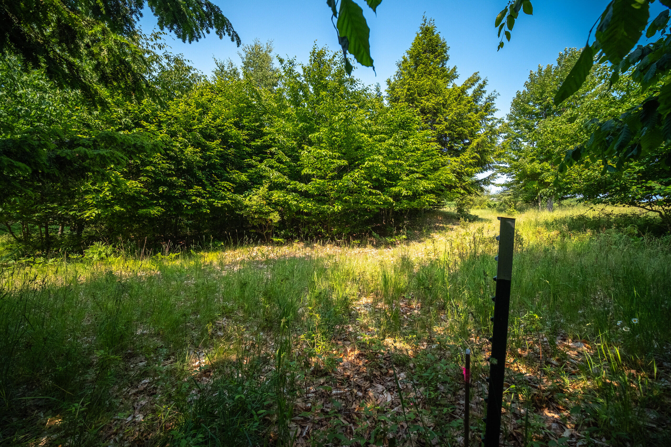 Horizon Ridge Lane, Unit 138 Onekama, MI 49675 - Photo 4 of 41 Additional Photo Lot 138