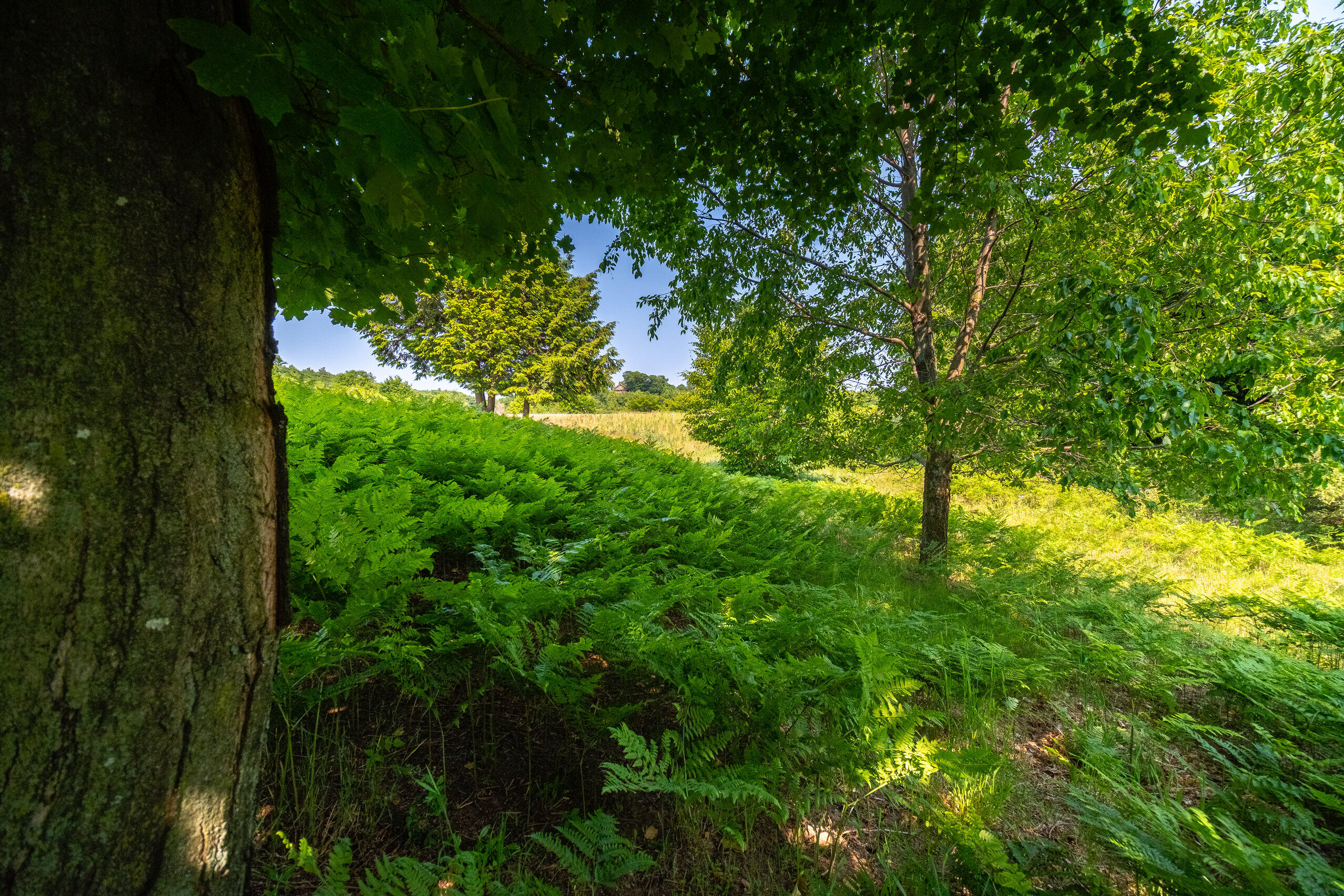 Horizon Ridge Lane, Unit 138 Onekama, MI 49675 - Photo 5 of 41 Additional Photo Lot 138