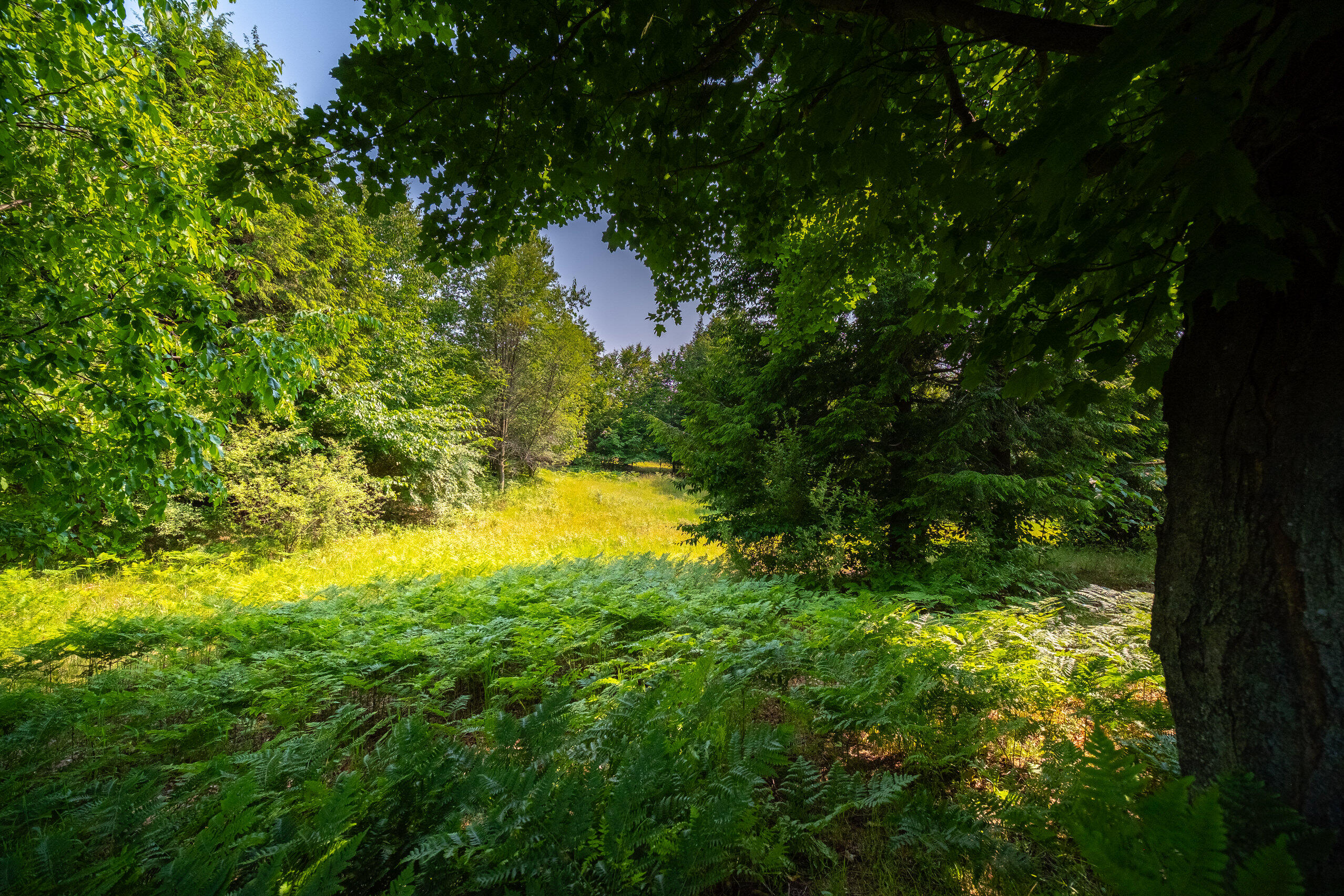 Horizon Ridge Lane, Unit 138 Onekama, MI 49675 - Photo 6 of 41 Additional Photo Lot 138