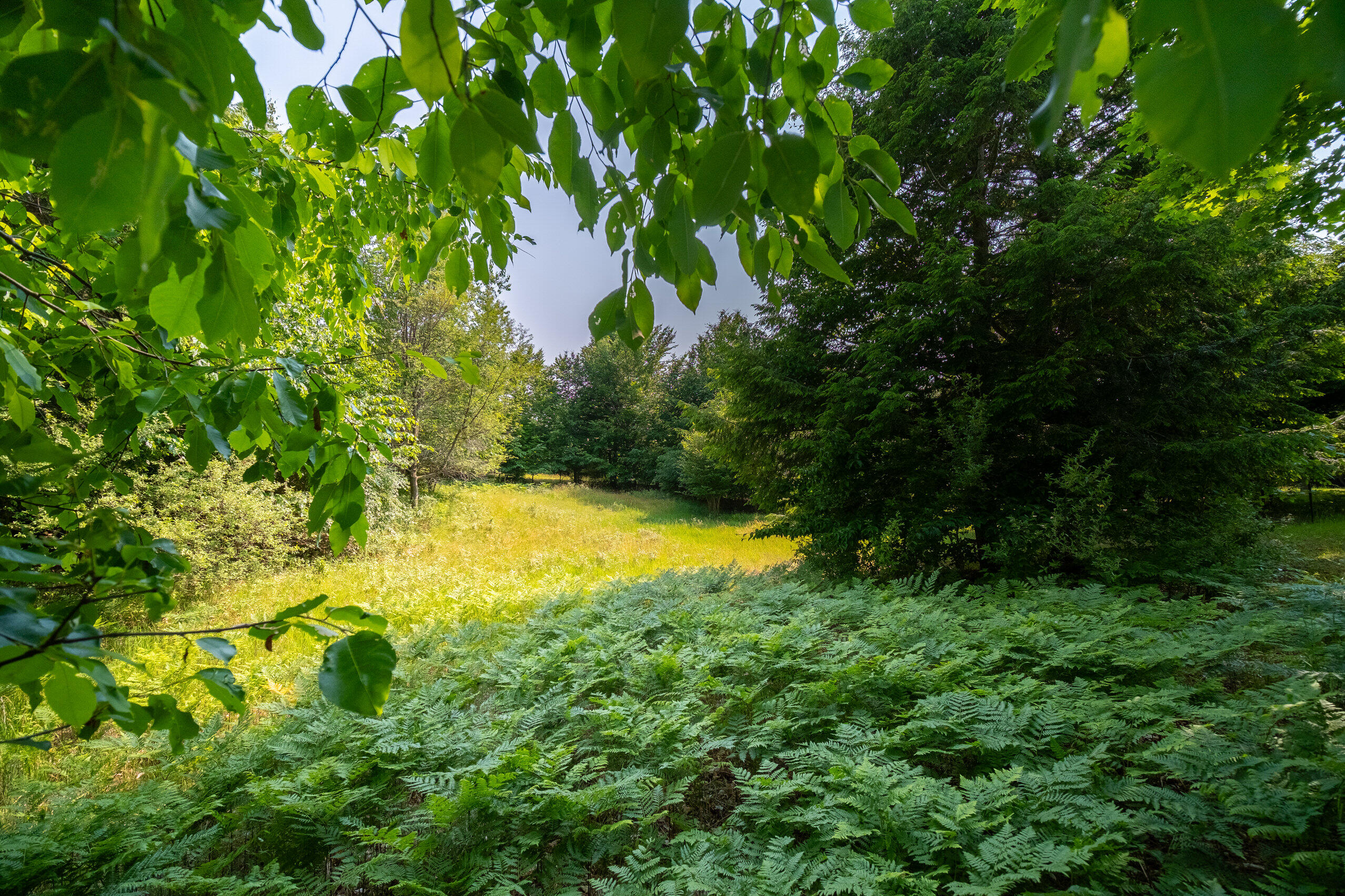 Horizon Ridge Lane, Unit 138 Onekama, MI 49675 - Photo 7 of 41 Additional Photo Lot 138