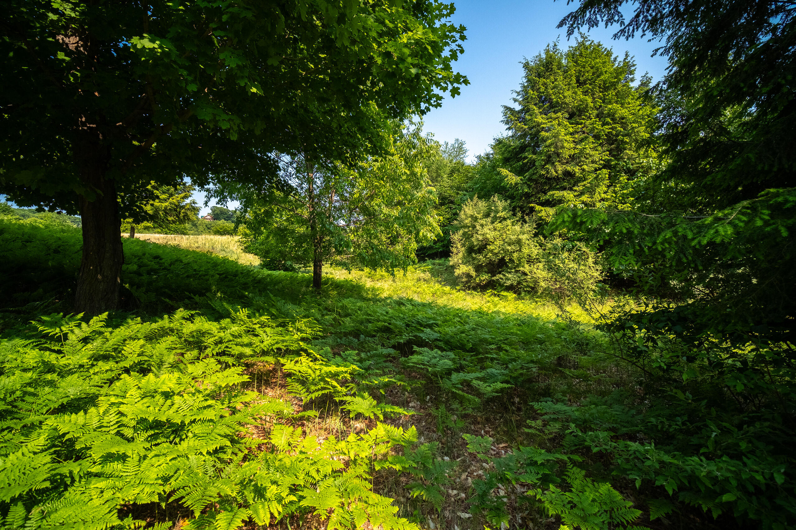 Horizon Ridge Lane, Unit 138 Onekama, MI 49675 - Photo 8 of 41 Additional Photo Lot 138