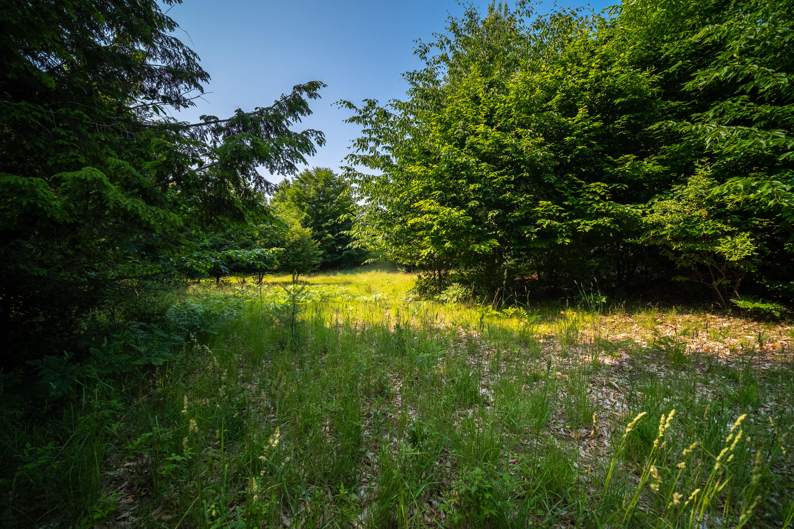 Horizon Ridge Lane, Unit 138 Onekama, MI 49675 - Photo 9 of 41 Additional Photo Lot 138