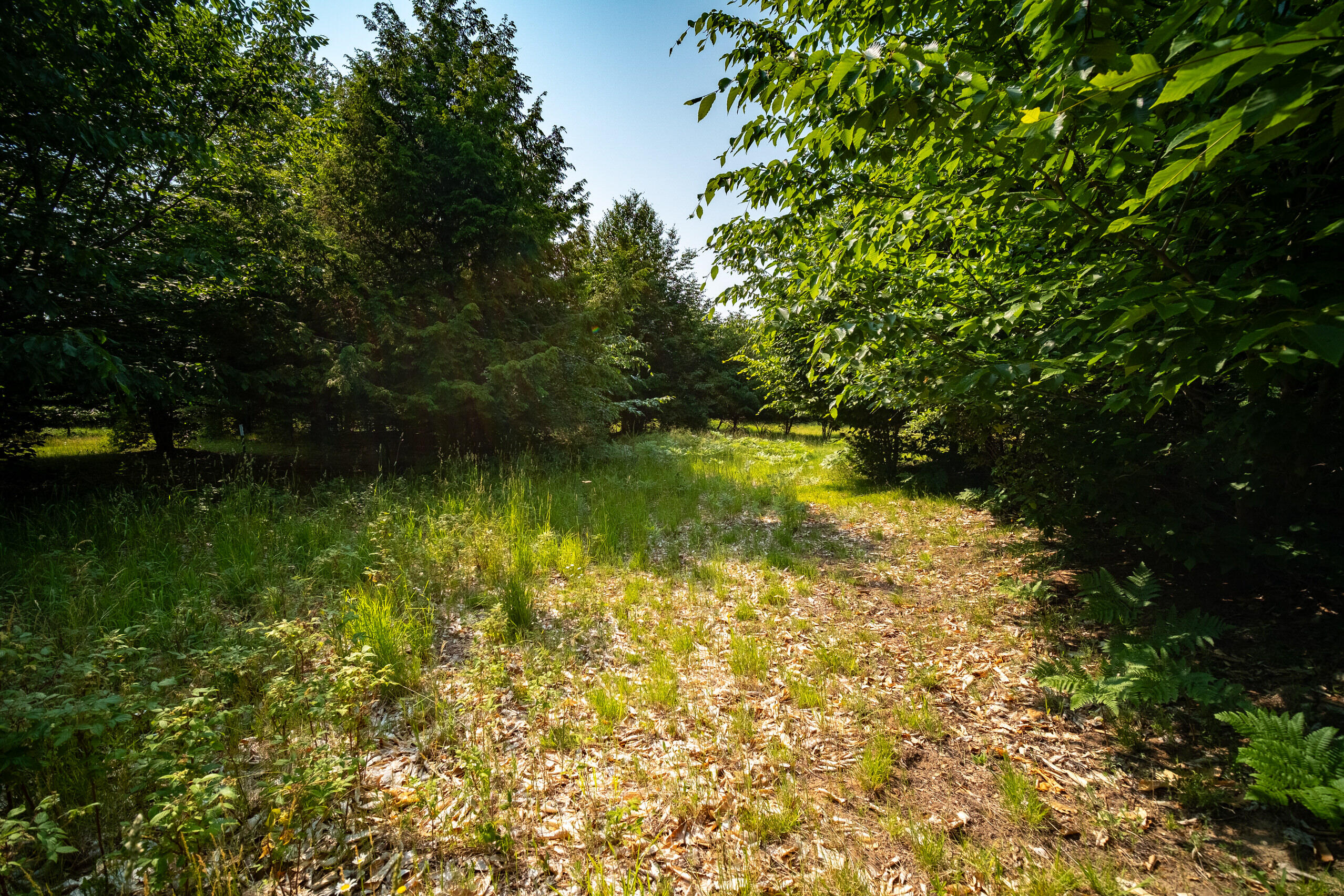Horizon Ridge Lane, Unit 138 Onekama, MI 49675 - Photo 10 of 41 Additional Photo Lot 138