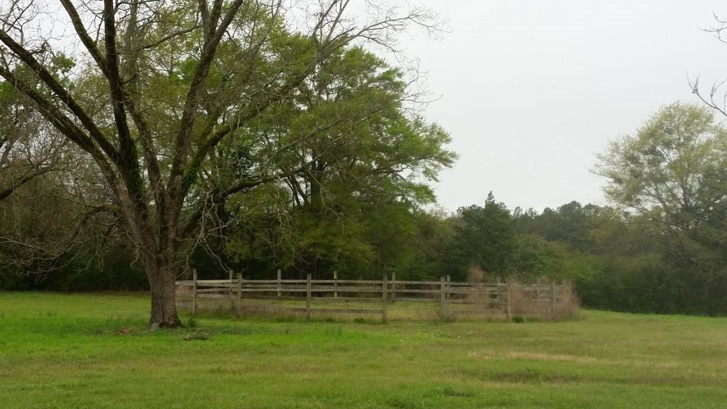 1295 Torrence Road Tuskegee, AL 36083 - Photo 40 of 42 Gallery Image 40