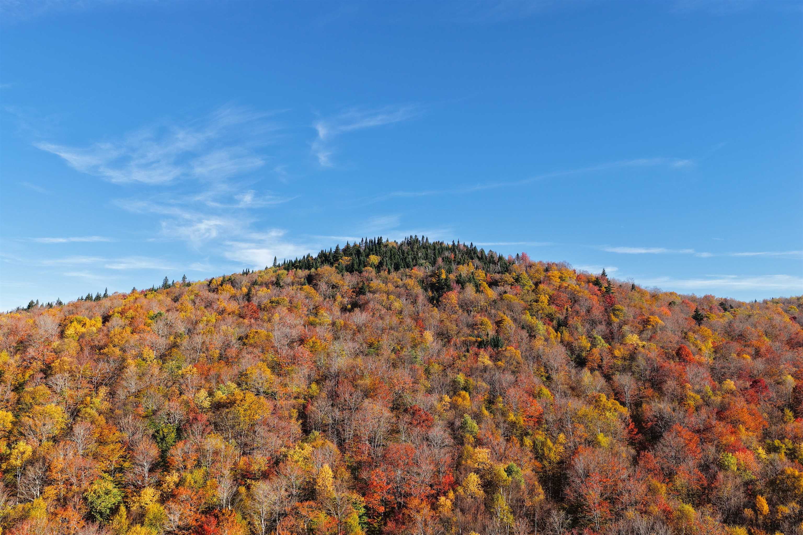 2448 Lost Nation Road East Haven, VT 05837 - Photo 11 of 27