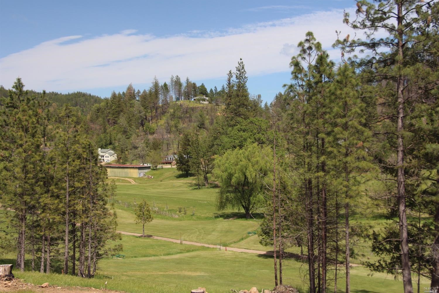a view of a yard with an outdoor space