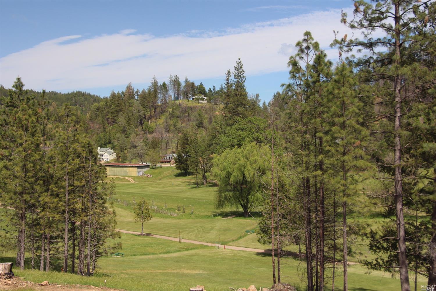 14636 Lema Lane Cobb, CA 95426 - Photo 11 of 20 a view of a yard with an outdoor space