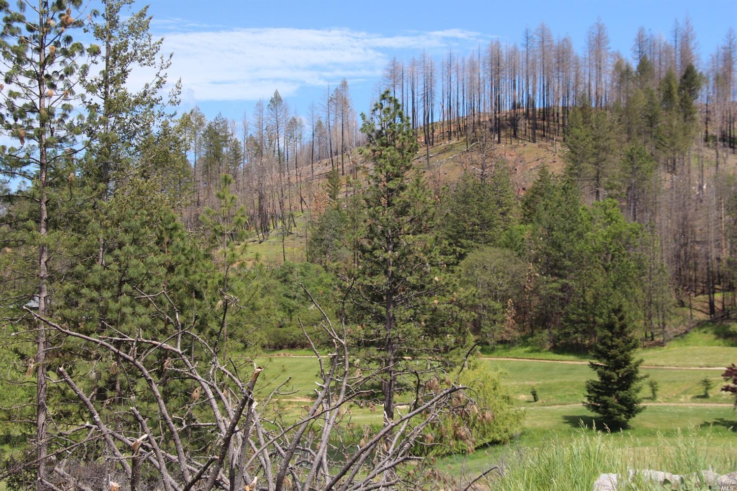 14636 Lema Lane Cobb, CA 95426 - Photo 16 of 20 a view of outdoor space and a yard