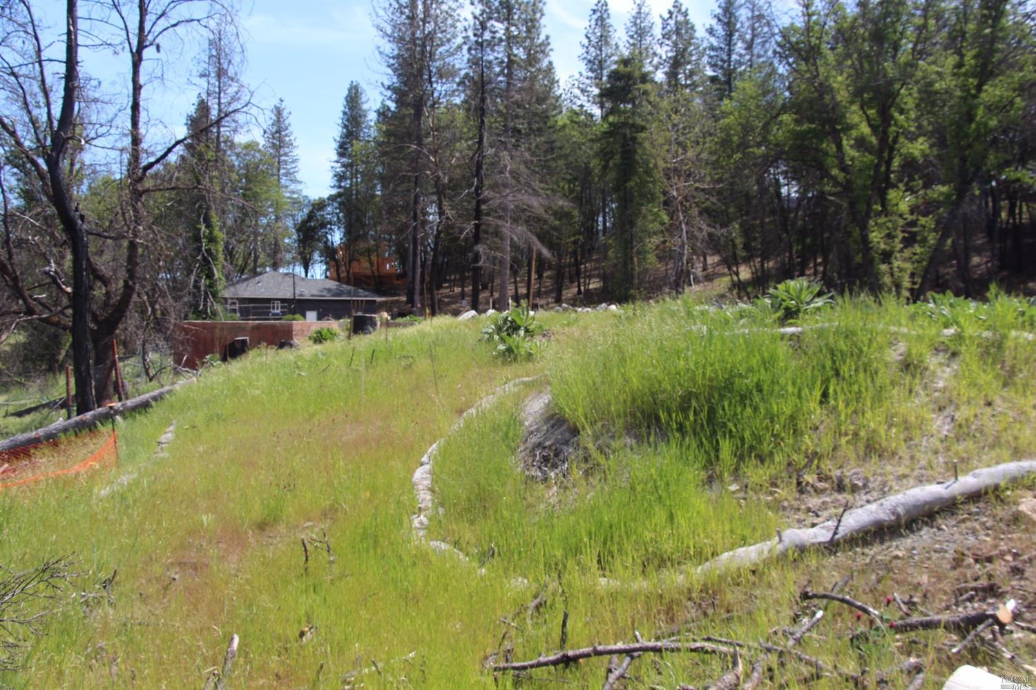 14636 Lema Lane Cobb, CA 95426 - Photo 18 of 20 a view of swimming pool from a garden