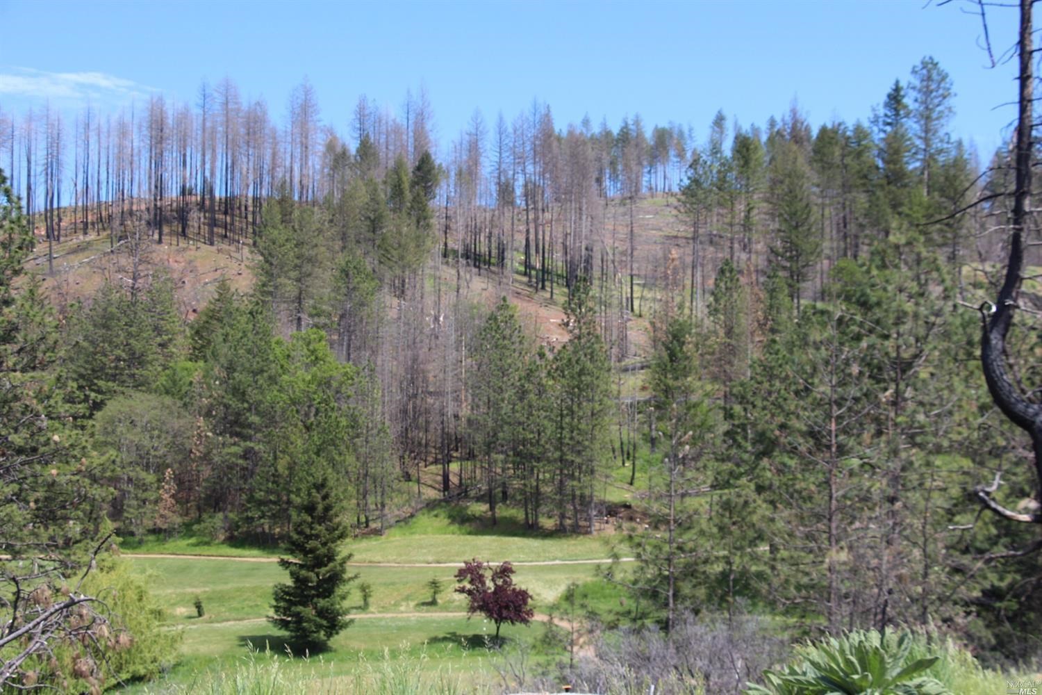 14636 Lema Lane Cobb, CA 95426 - Photo 4 of 20 a view of a city with tall trees