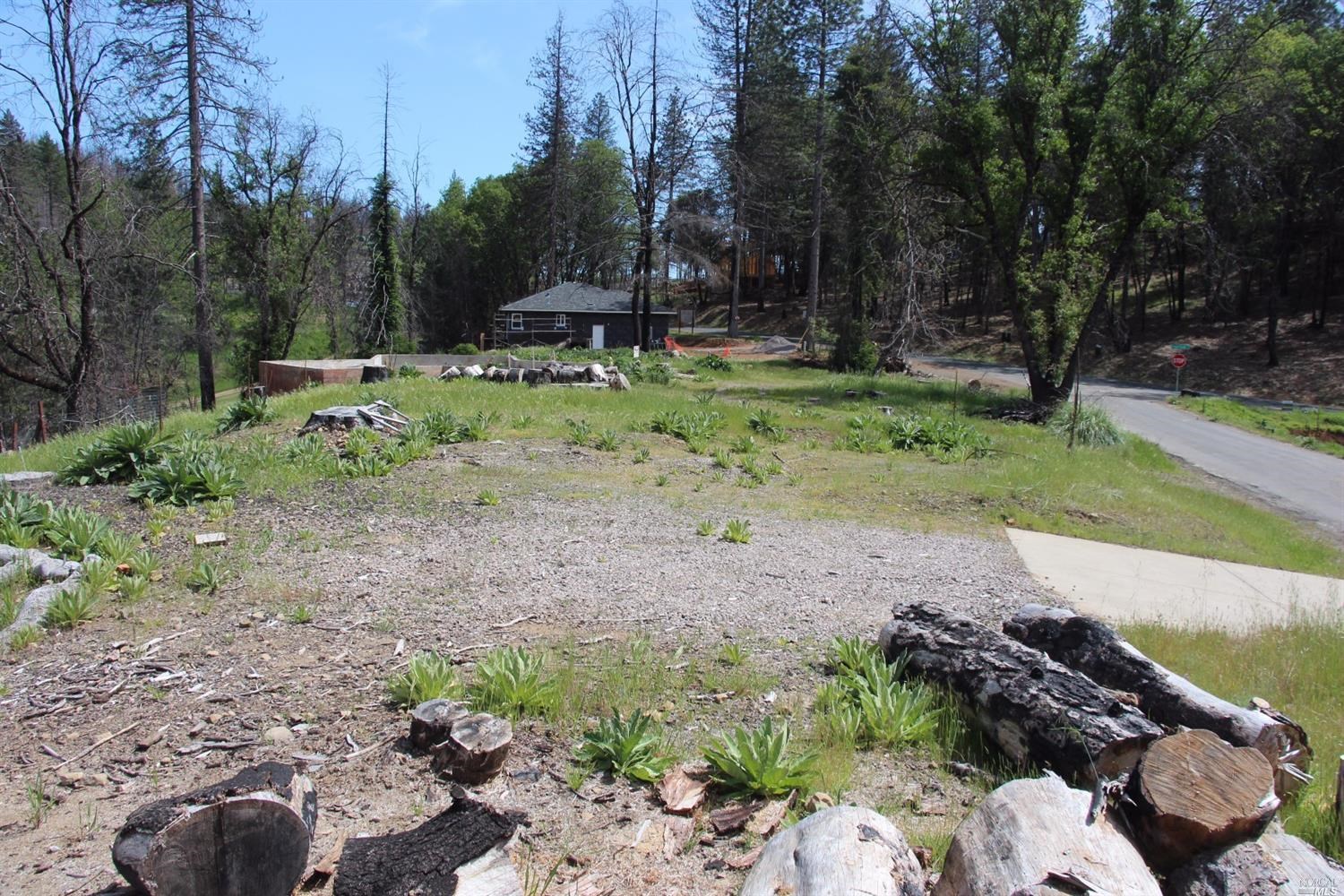 14636 Lema Lane Cobb, CA 95426 - Photo 7 of 20 a backyard of a house with lots of green space