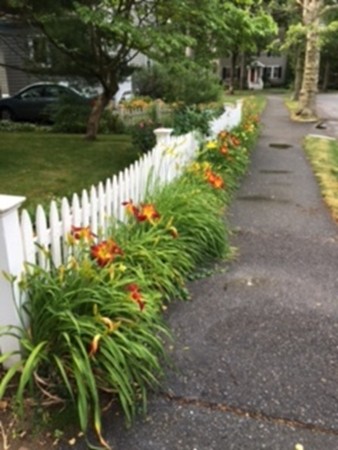 18 Camden Road Newton, MA 02466 - Photo 3 of 13 Gallery Image 3