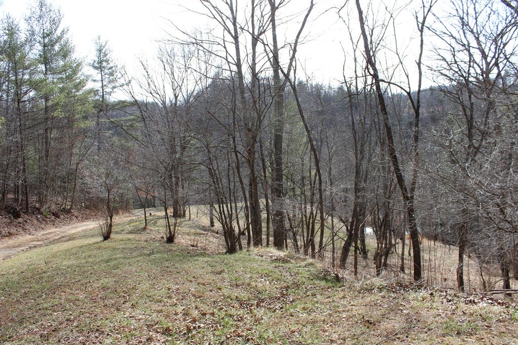 Tbd Pridemoore Road, Unit 2 Galax, VA 24333 - Photo 60 of 72 Gallery Image 60