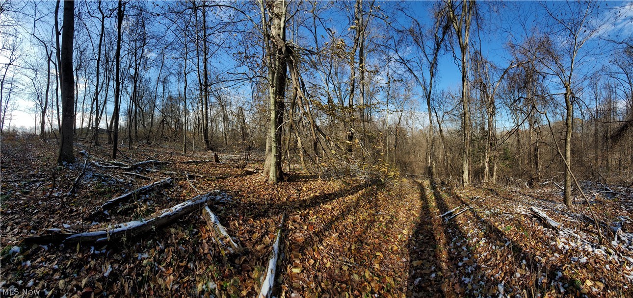 25435 Cadiz Road Freeport, OH 43973 - Photo 4 of 7