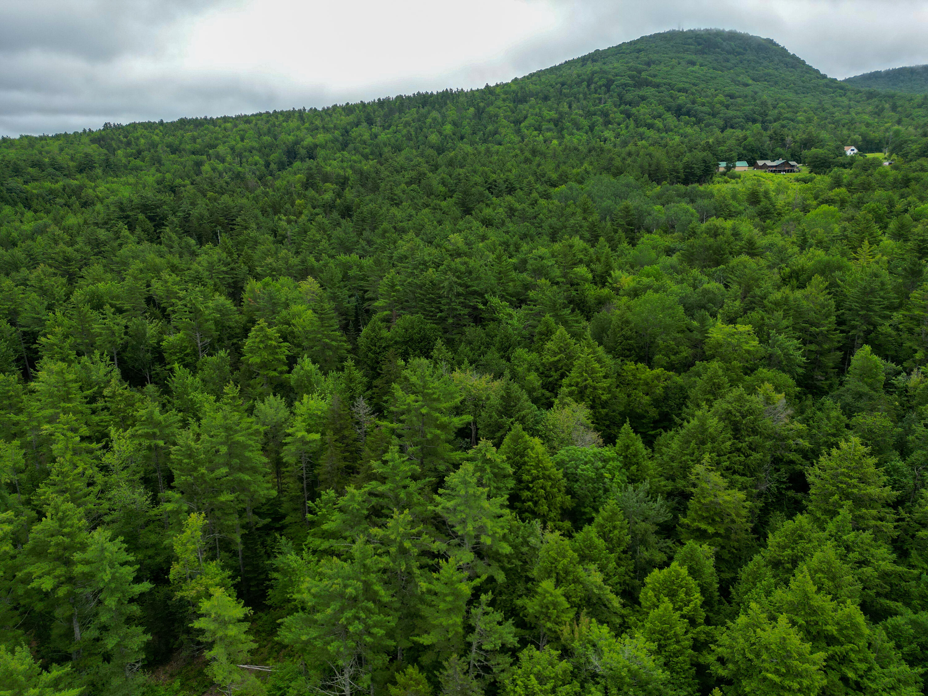 Lot 30 Irish Neighborhood Road Bethel, ME 04217 - Photo 8 of 24 DJI_0613