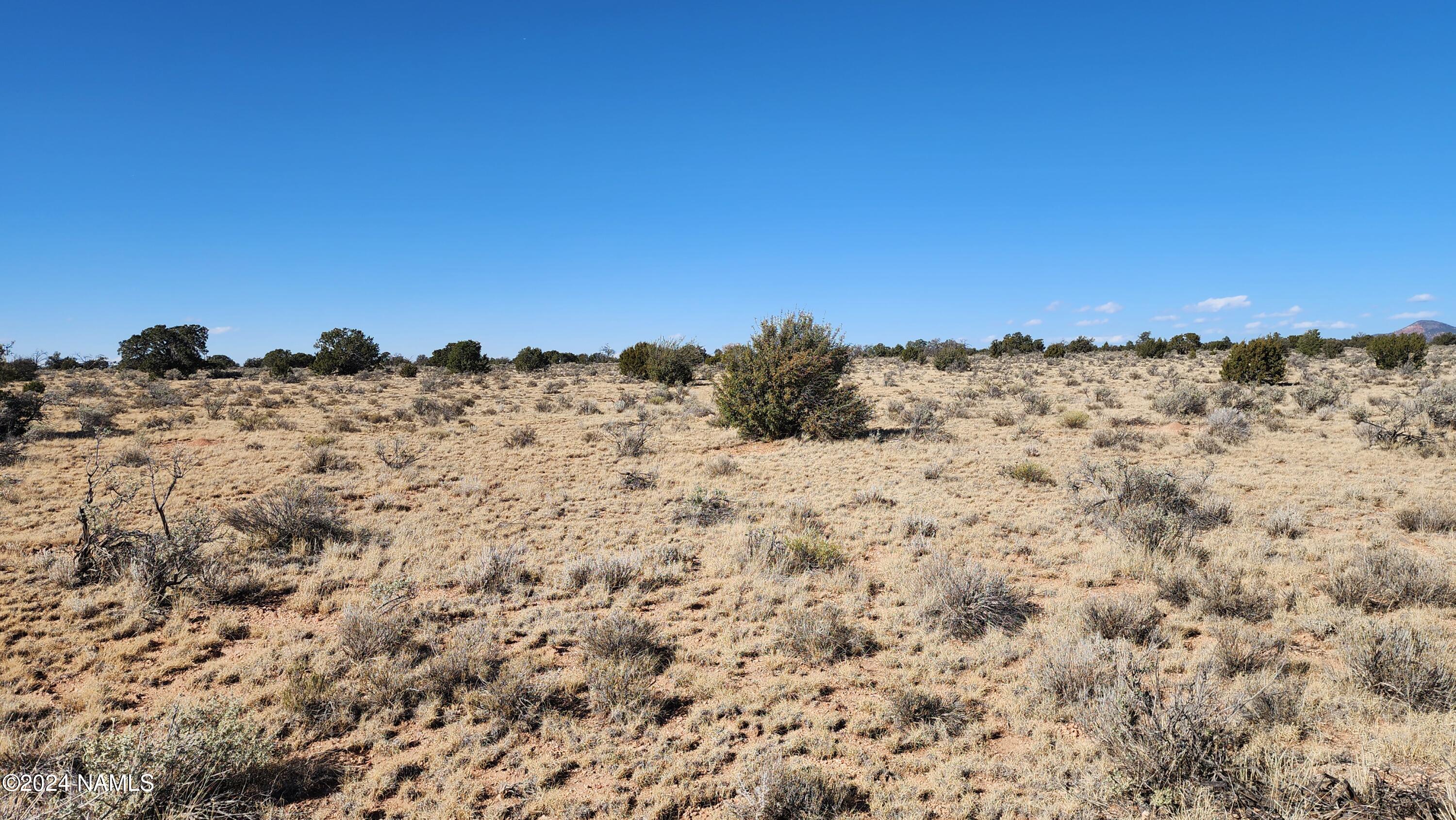 3433 Red Butte Road Williams, AZ 86046 - Photo 9 of 22 a view of a snow on a beach