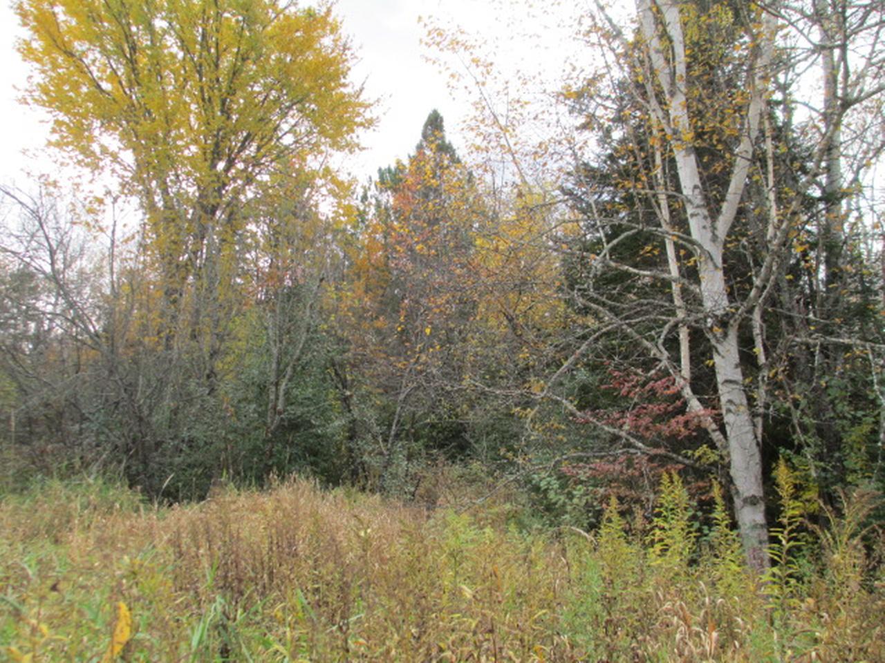 Near Koehmstedt Road Hurley, WI 54534 - Photo 3 of 6 Gallery Image 3