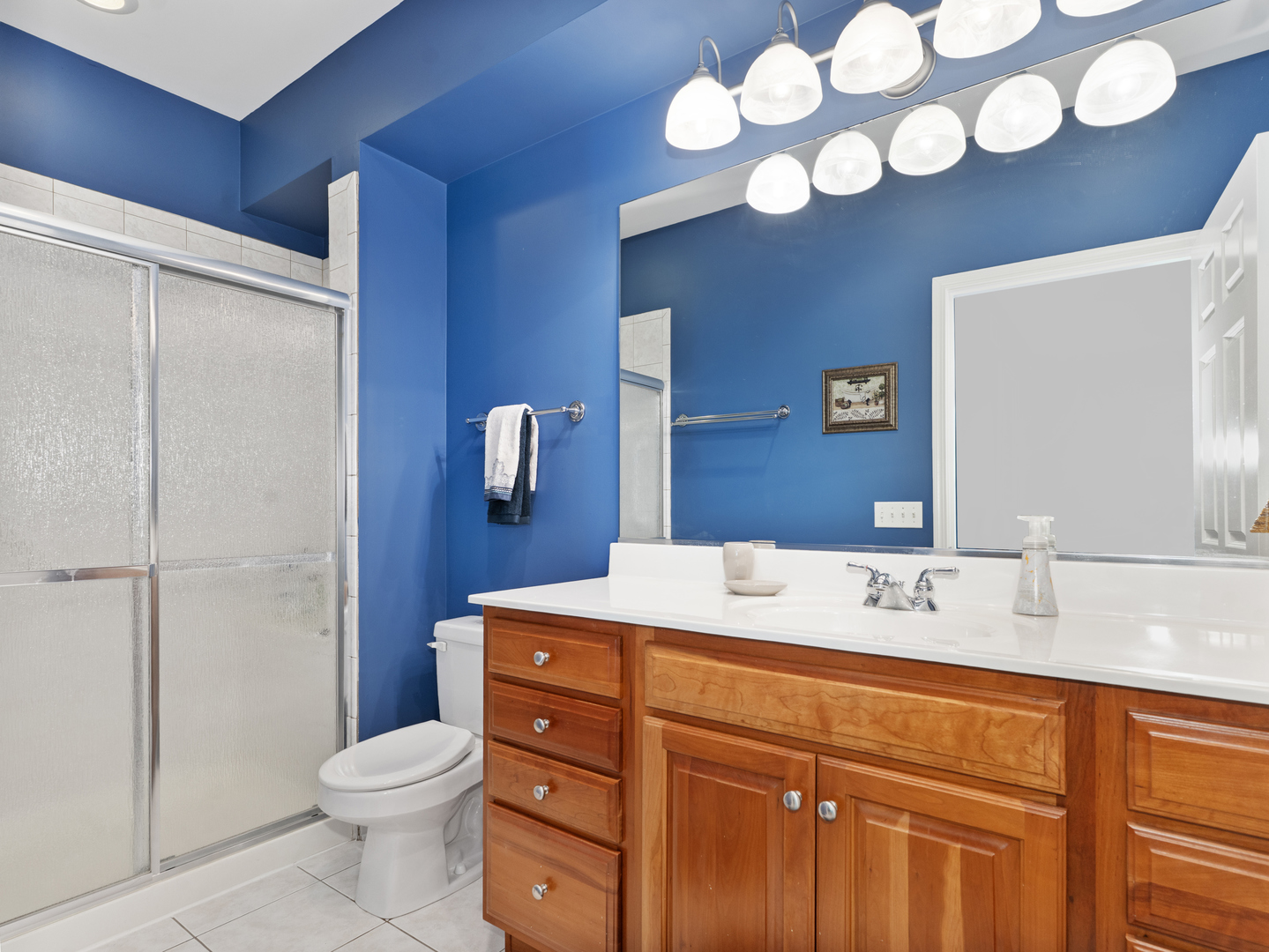 271 Ridge Road, Unit 271 North Aurora, IL 60542 - Photo 19 of 29