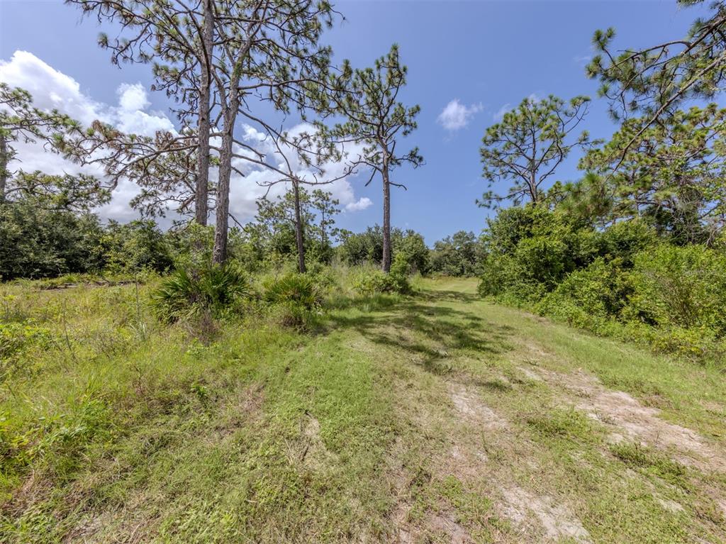 East Manasota Beach Road Englewood, FL 34223 - Photo 12 of 65 a view of a yard