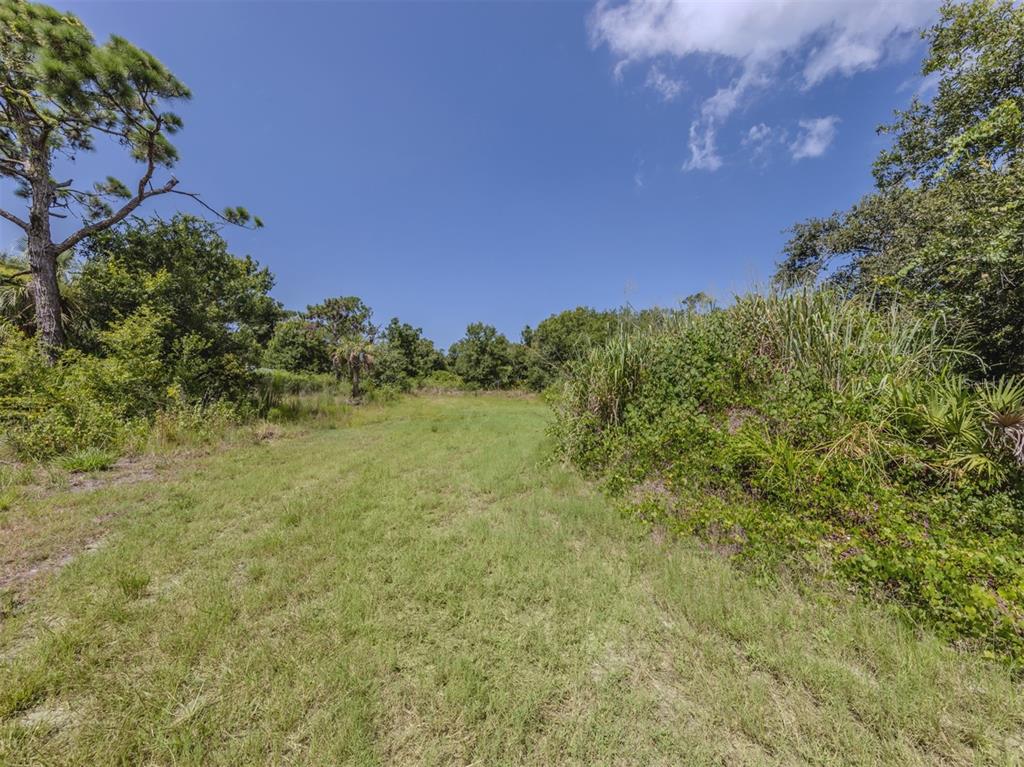 East Manasota Beach Road Englewood, FL 34223 - Photo 14 of 65 a view of a big yard with plants and a large tree
