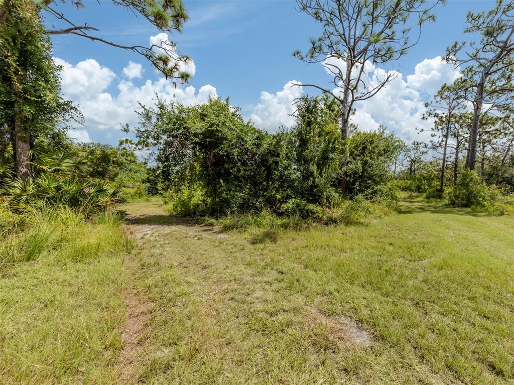 East Manasota Beach Road Englewood, FL 34223 - Photo 15 of 65 a view of a yard with a tree