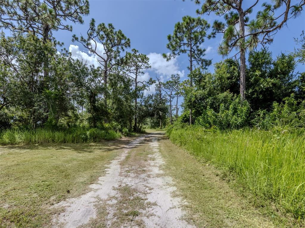 East Manasota Beach Road Englewood, FL 34223 - Photo 22 of 65 a view of a yard with plants and a trees