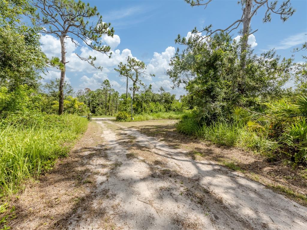 East Manasota Beach Road Englewood, FL 34223 - Photo 23 of 65 a view of a yard with plants and large trees