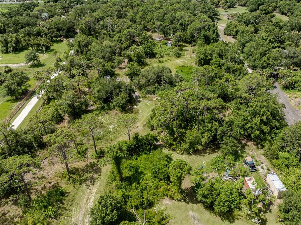 East Manasota Beach Road Englewood, FL 34223 - Photo 24 of 65 a view of a lush green forest with houses