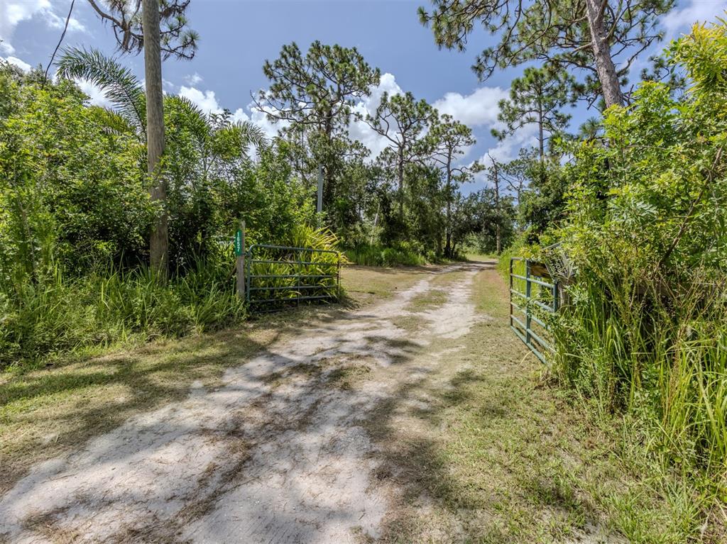 East Manasota Beach Road Englewood, FL 34223 - Photo 26 of 65 a view of a yard with plants and trees