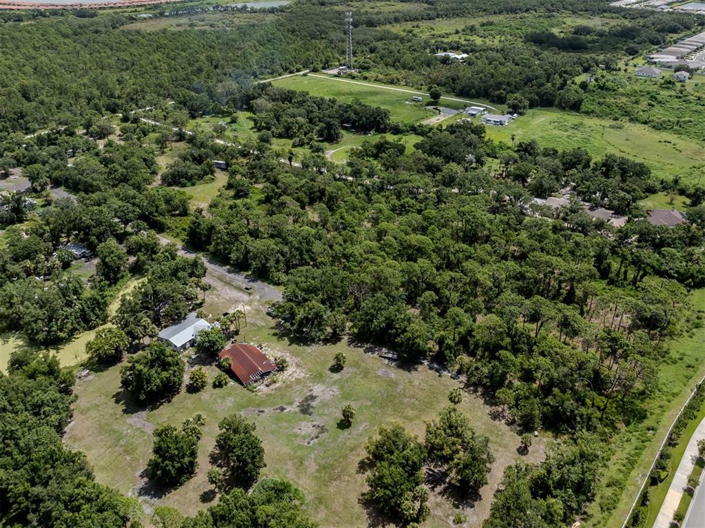 East Manasota Beach Road Englewood, FL 34223 - Photo 35 of 65 a view of a forest with a tree
