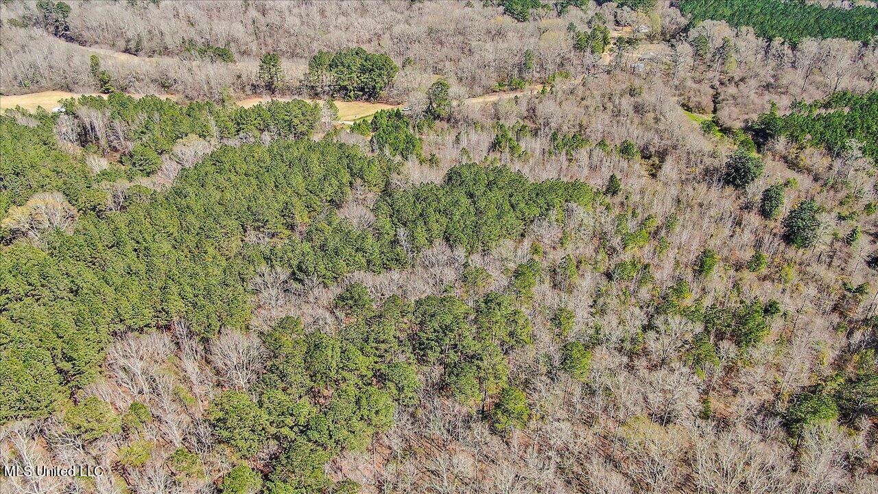 0 Alford Road Crystal Springs, MS 39059 - Photo 1 of 8 21-Alford Rd
