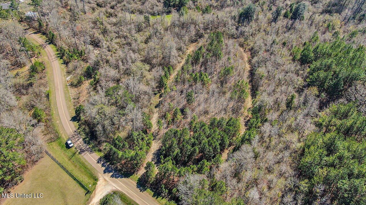 0 Alford Road Crystal Springs, MS 39059 - Photo 3 of 8 26-Alford Rd