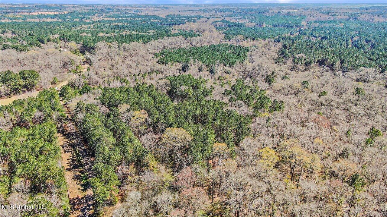 0 Alford Road Crystal Springs, MS 39059 - Photo 4 of 8 23-Alford Rd