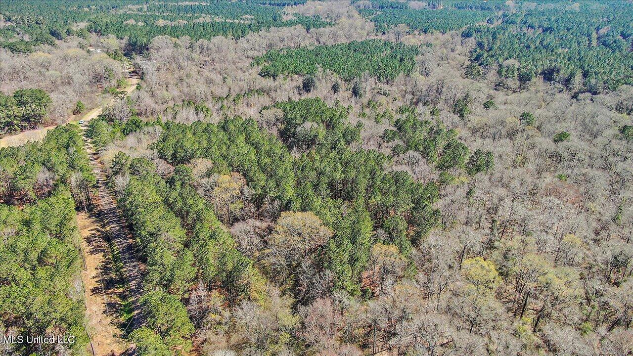 0 Alford Road Crystal Springs, MS 39059 - Photo 6 of 8 25-Alford Rd