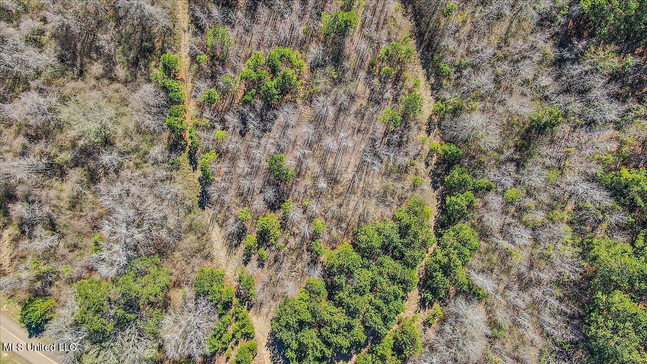 0 Alford Road Crystal Springs, MS 39059 - Photo 7 of 8 27-Alford Rd