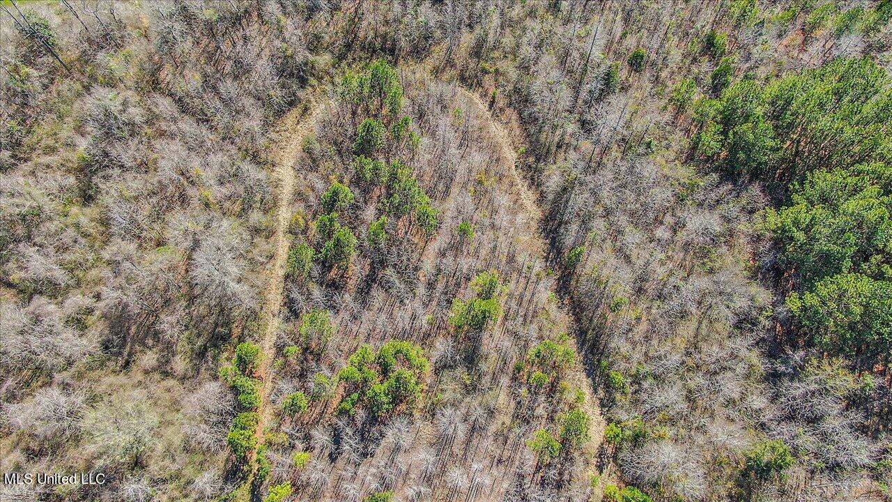 0 Alford Road Crystal Springs, MS 39059 - Photo 8 of 8 28-Alford Rd