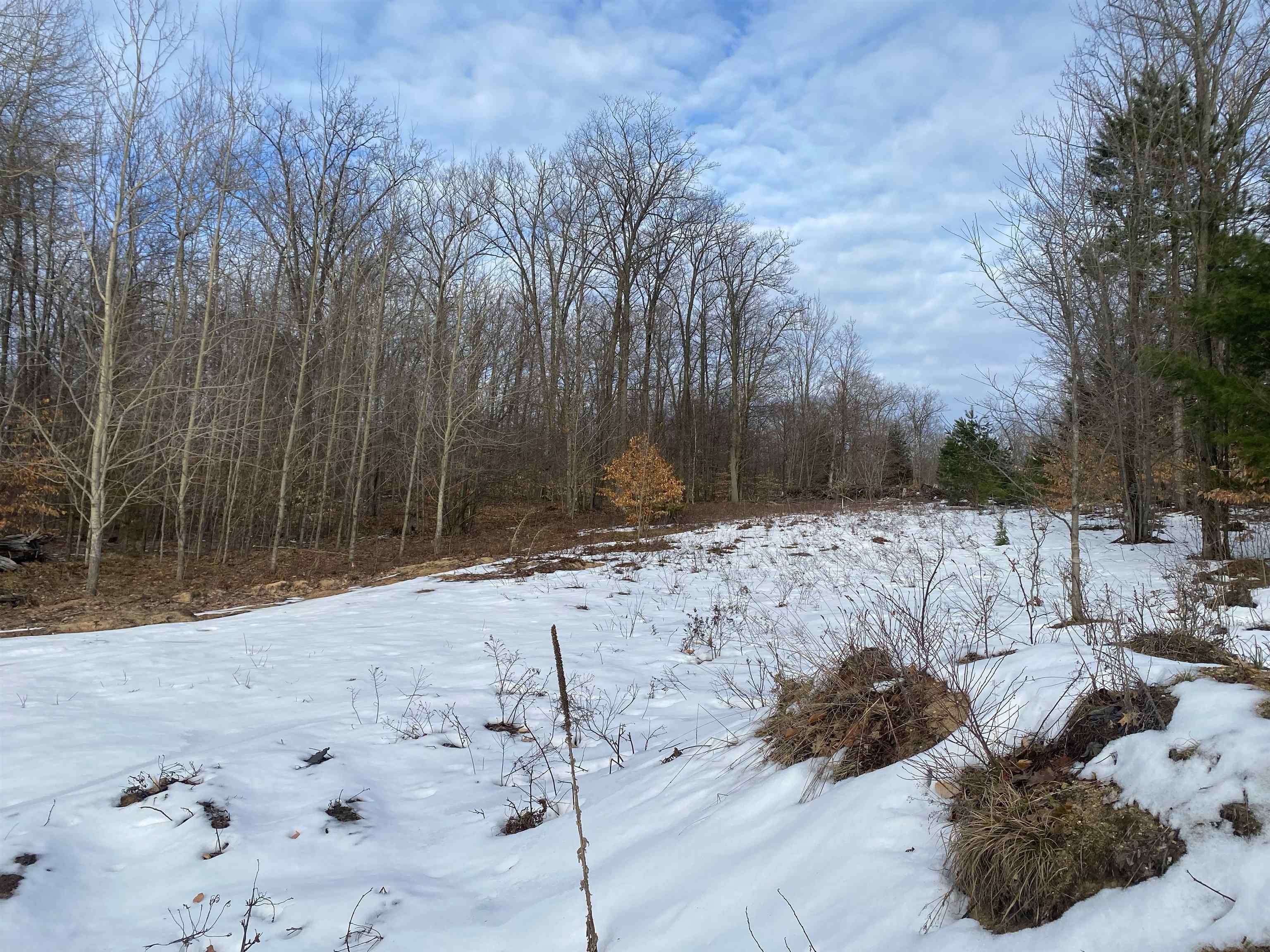 5955 South Brown Road Manton, MI 49663 - Photo 6 of 11
