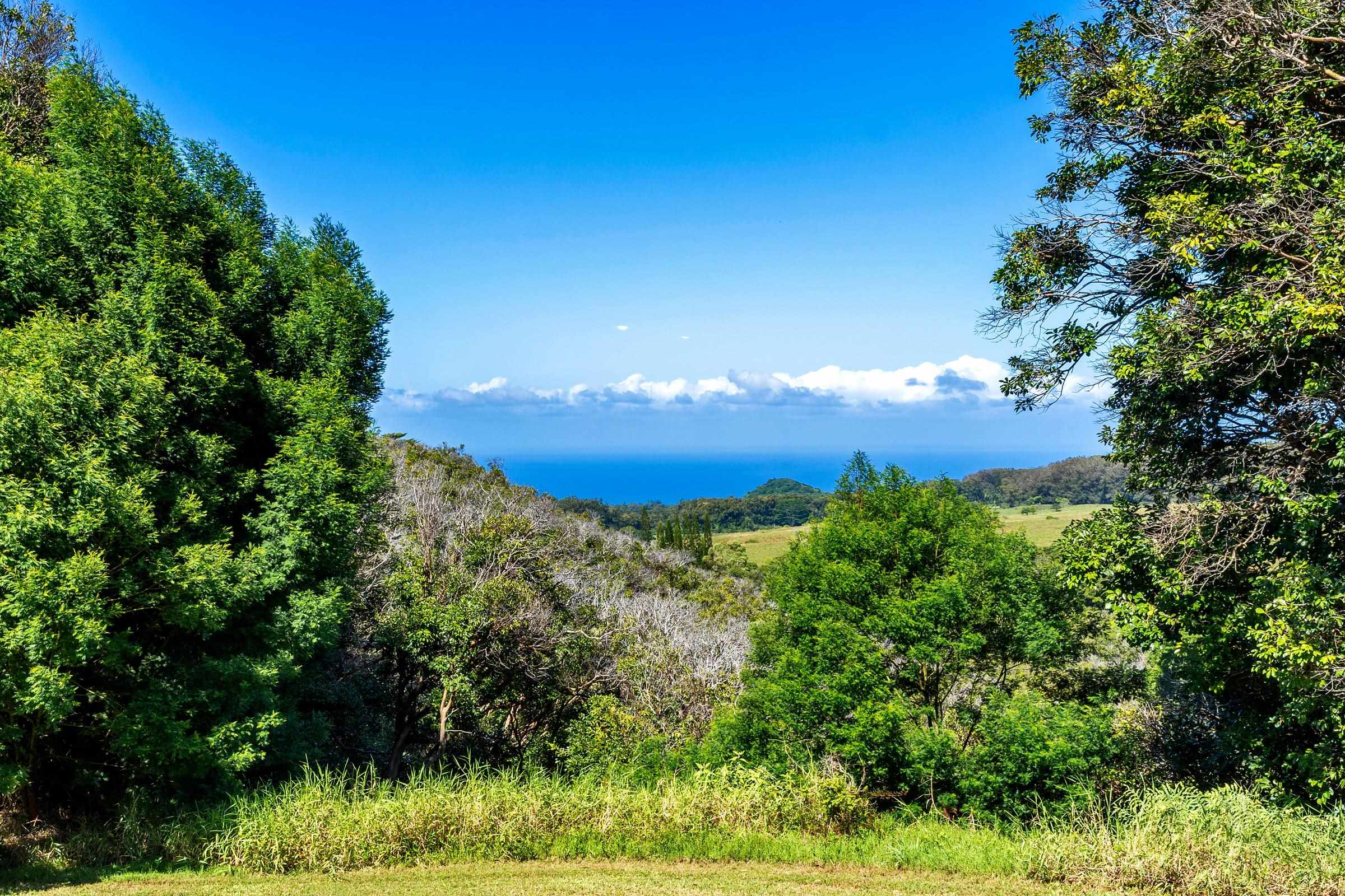 575 Awalau Road Haiku, HI 96708 - Photo 16 of 50 a view of a yard