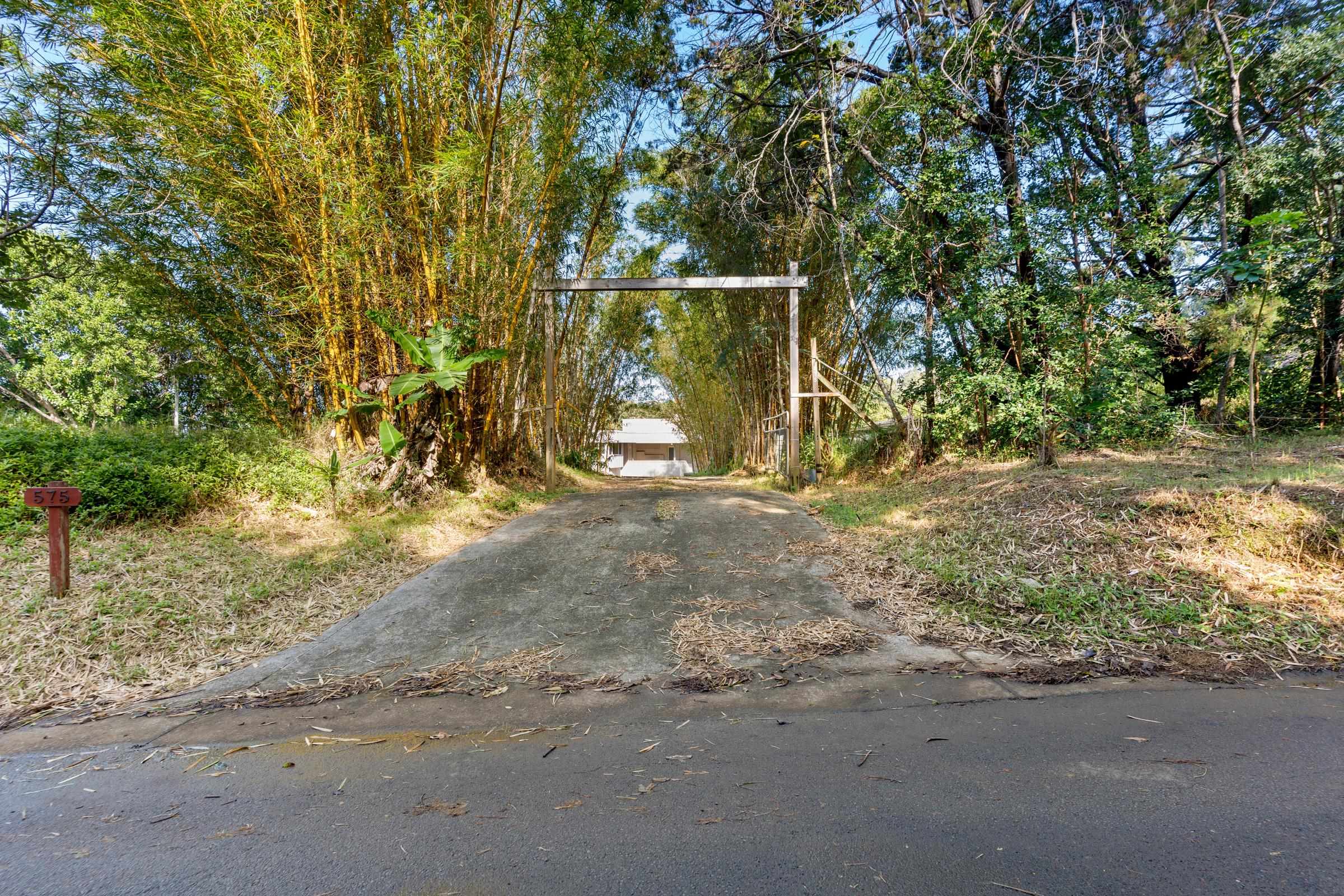 575 Awalau Road Haiku, HI 96708 - Photo 50 of 50 a view of outdoor space with deck and tree