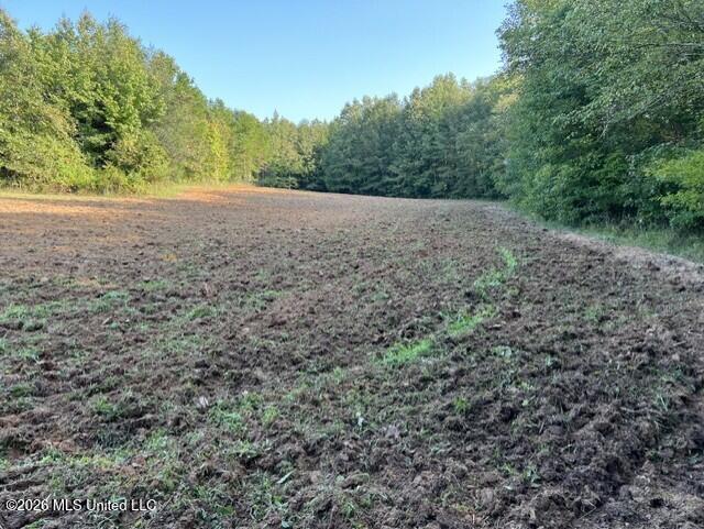 1447 Minor Bridge Road Ashland, MS 38603 - Photo 14 of 18 8d045c56-f559-460c-941d-779eff5b8490
