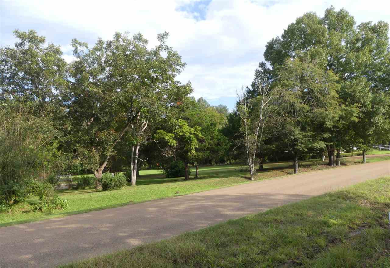1358 North Old Canton Road Canton, MS 39046 - Photo 6 of 18 Photo 6