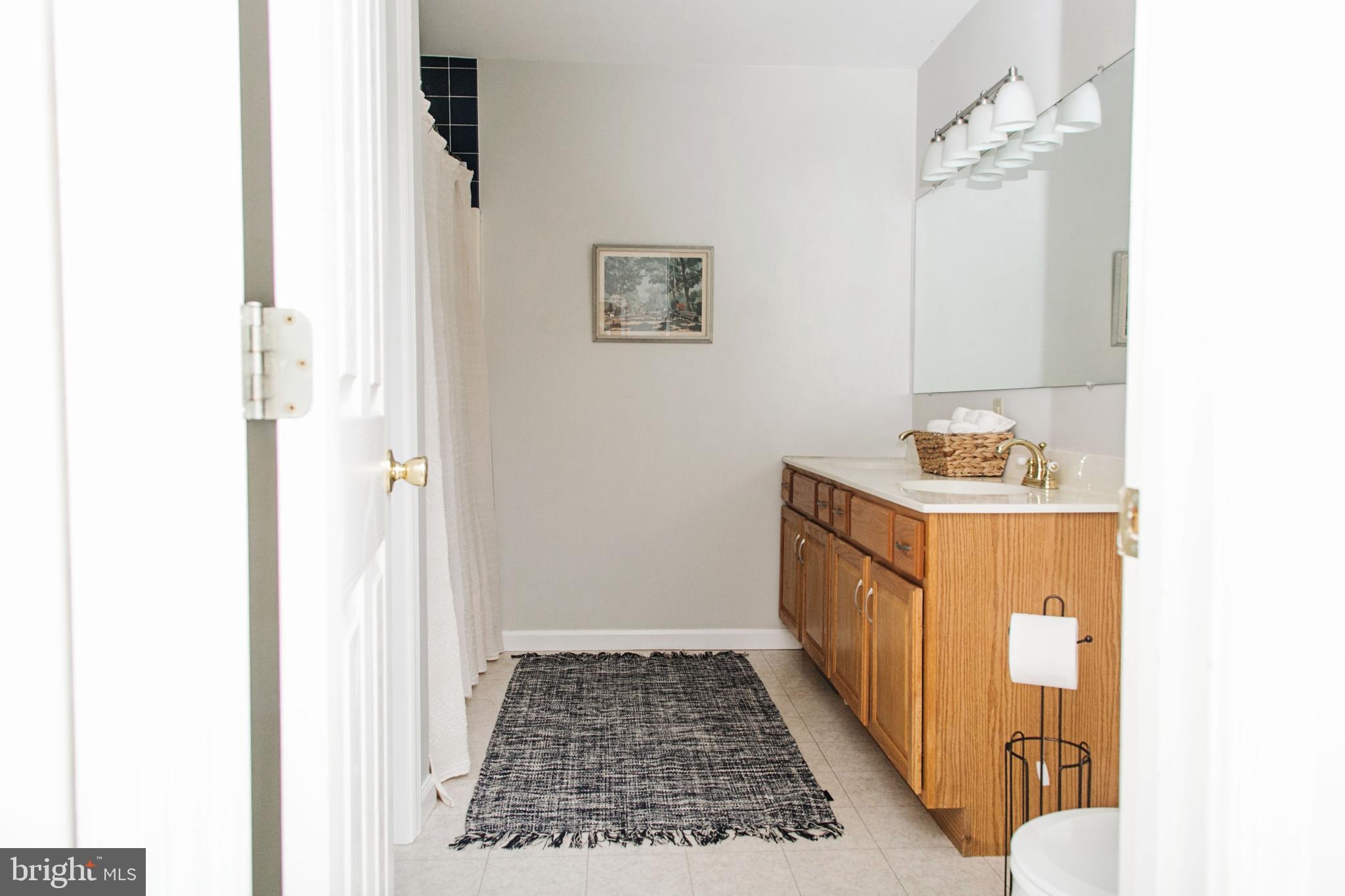 30 Tupelo Street Lititz, PA 17543 - Photo 11 of 20 Master Bath