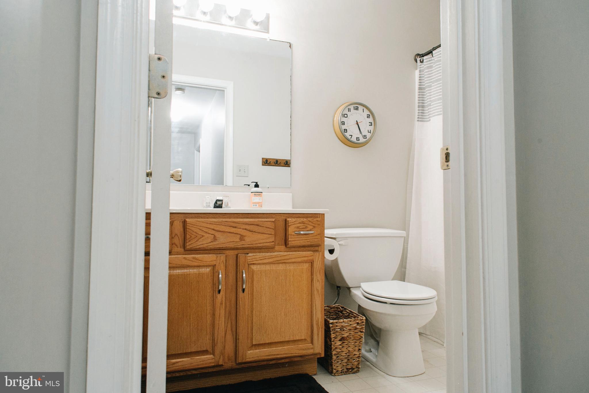 30 Tupelo Street Lititz, PA 17543 - Photo 16 of 20 Main upstairs bath