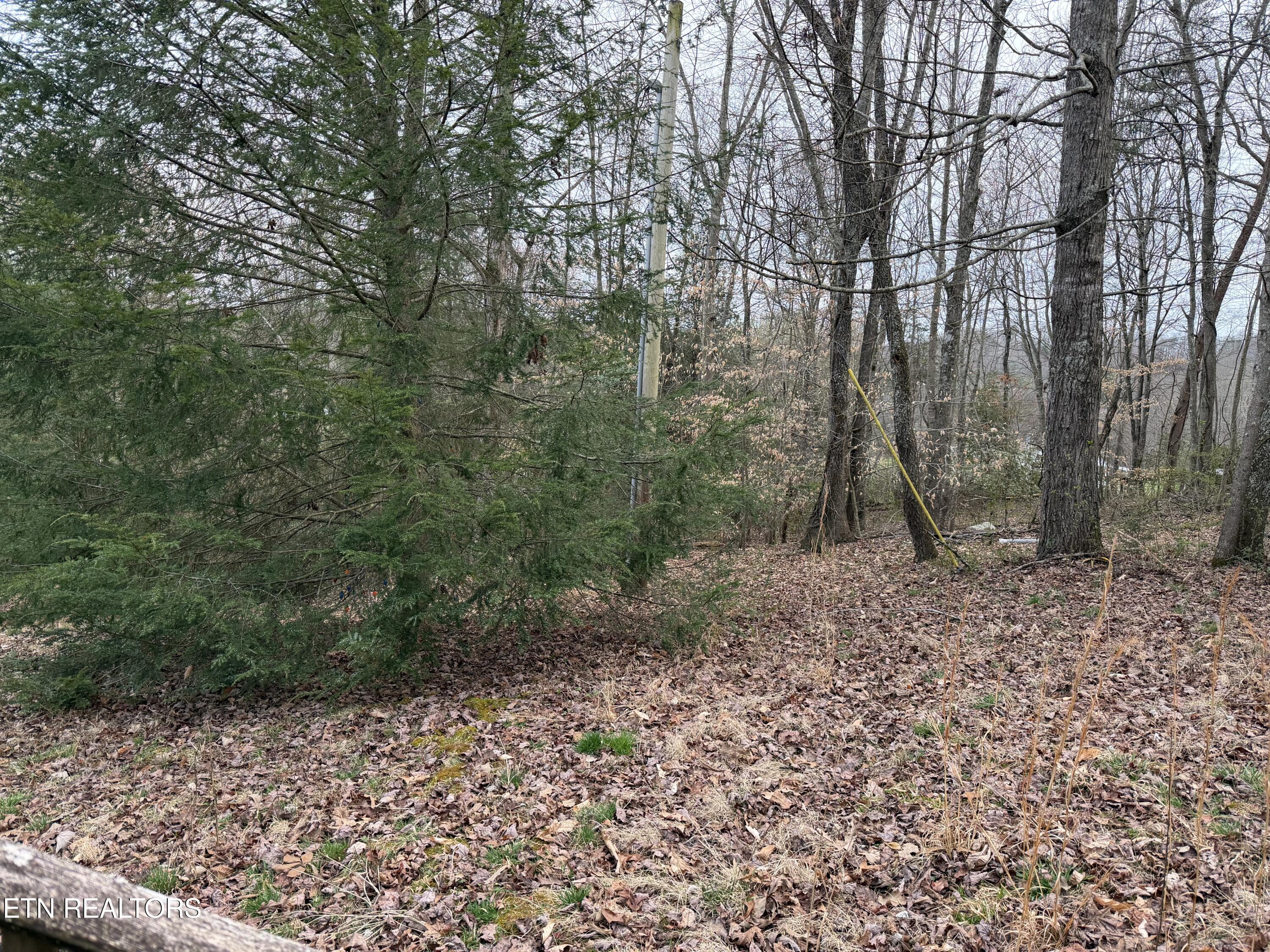 364 Shady Grove Road Lancing, TN 37770 - Photo 21 of 31 IMG_2816